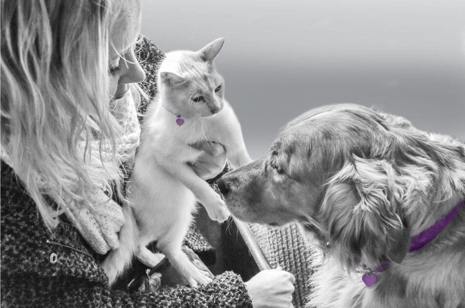 Purina Purple Leash Project awareness